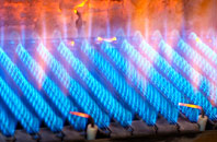 Bramfield gas fired boilers